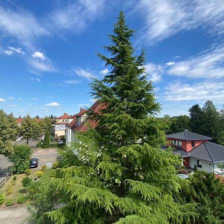 Simply Nice Appartment Borna Dış mekan fotoğraf