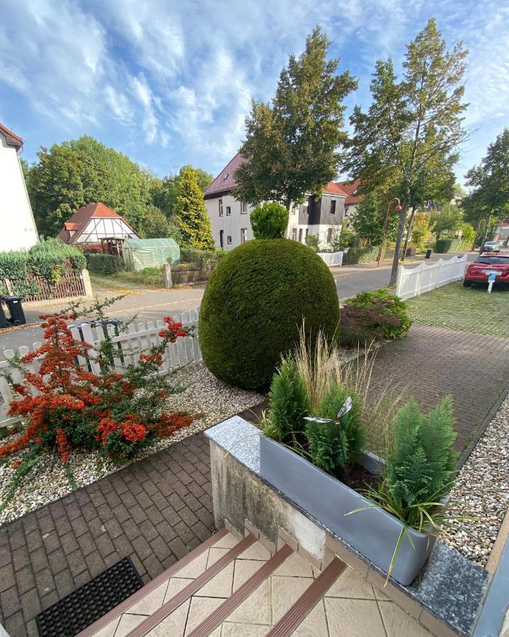 Simply Nice Appartment Borna Dış mekan fotoğraf