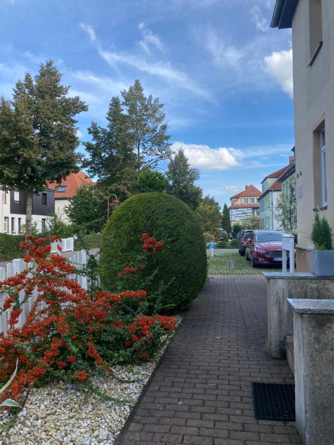 Simply Nice Appartment Borna Dış mekan fotoğraf